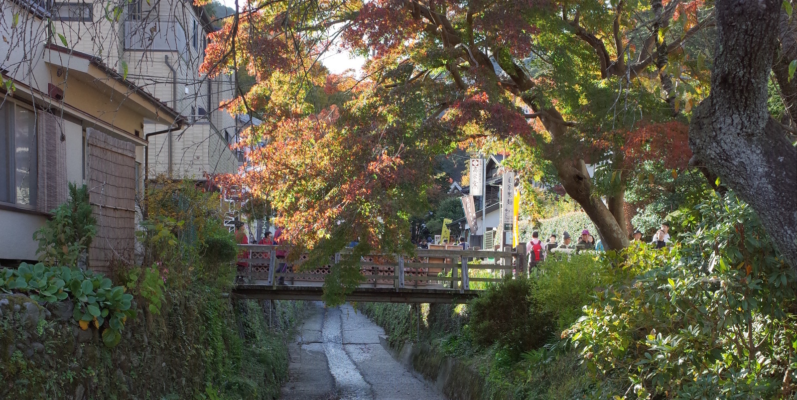 Neighborhood around the station