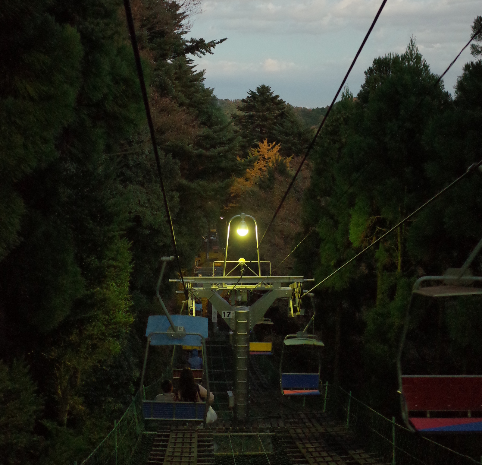 Chairlift view of trees