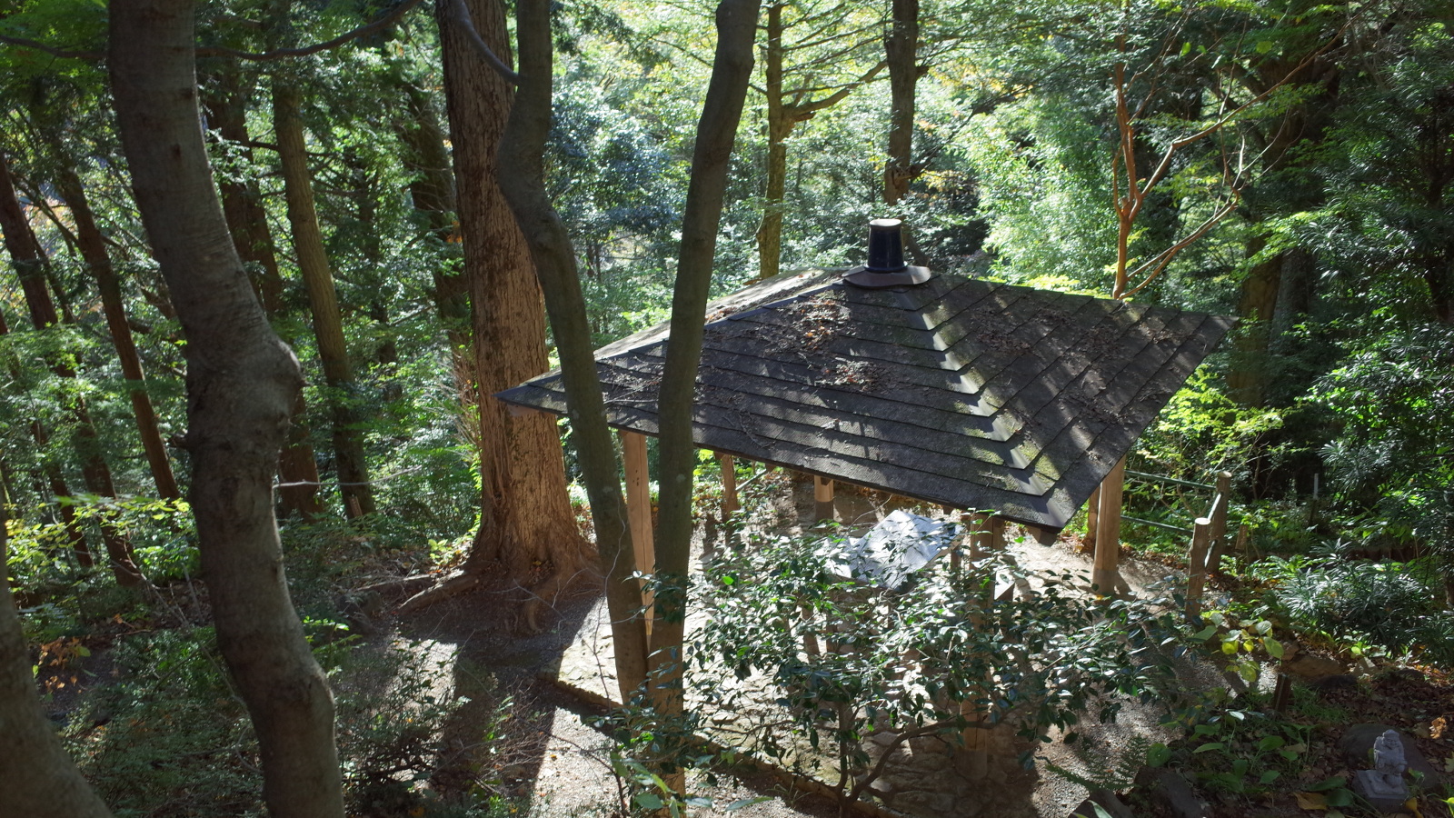 Resting place inside the forest