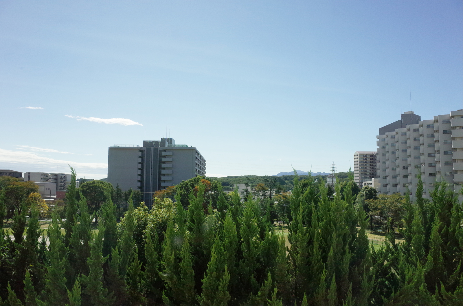 View from the dorm window